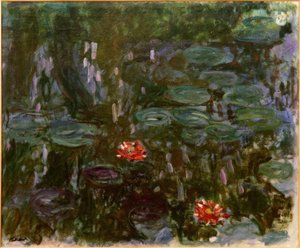 Water Lilies, Reflections of Willow
